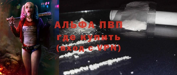 не бодяженный Каменногорск