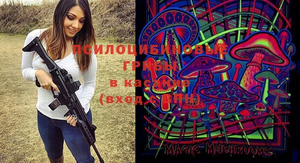 синтетический гашиш Каменка