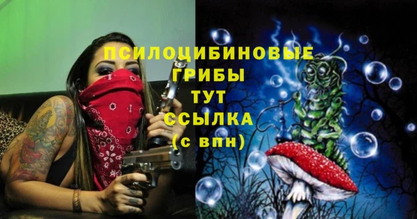 гашишное масло Каменск-Шахтинский